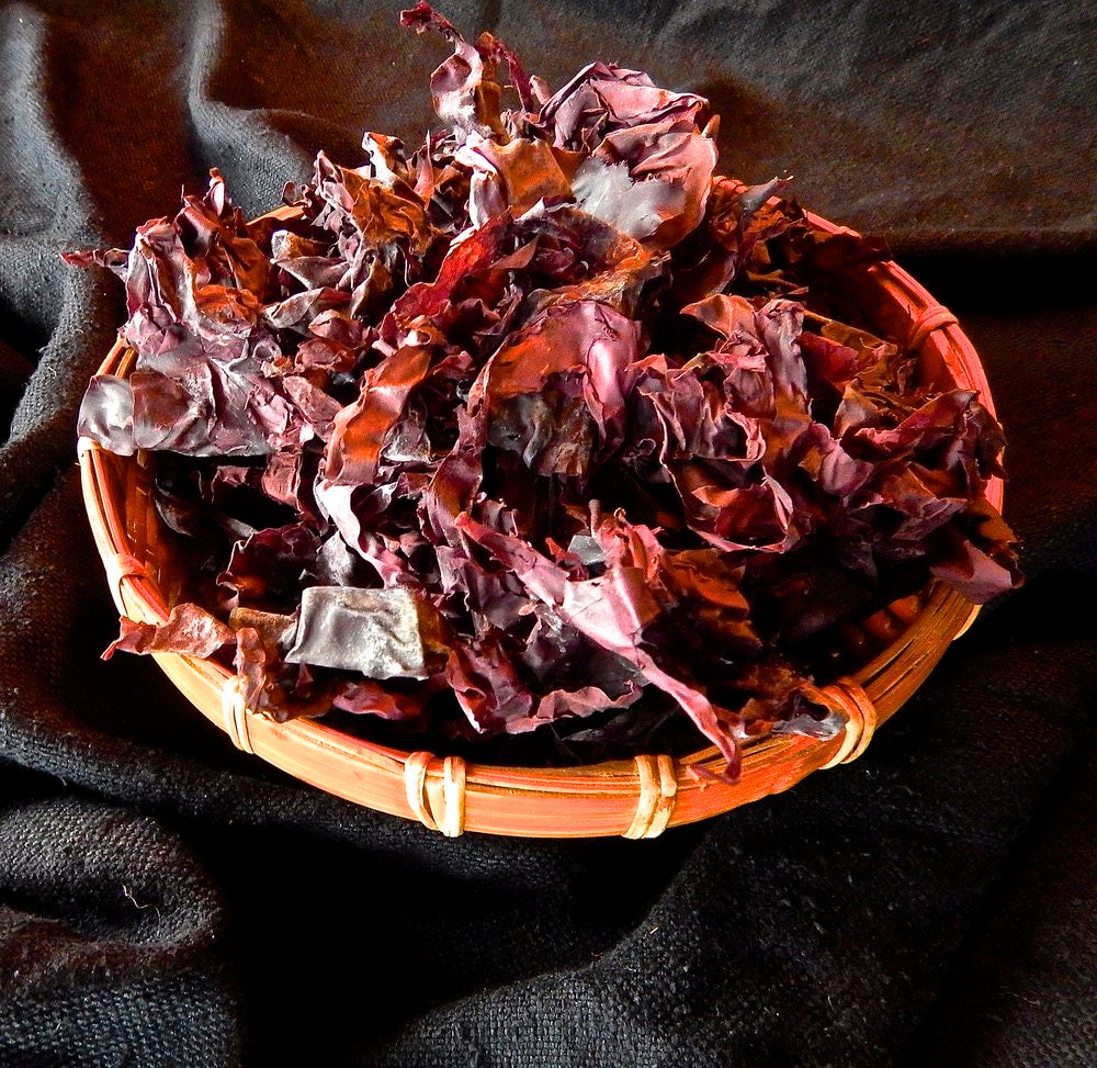 Red dulse sea weed