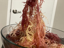Load image into Gallery viewer, Full spectrum sea moss
