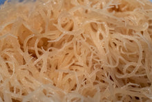 Load image into Gallery viewer, Standard Wild crafted sea moss gel
