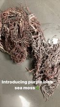 Load image into Gallery viewer, Raw unprepared Purple Irish sea moss
