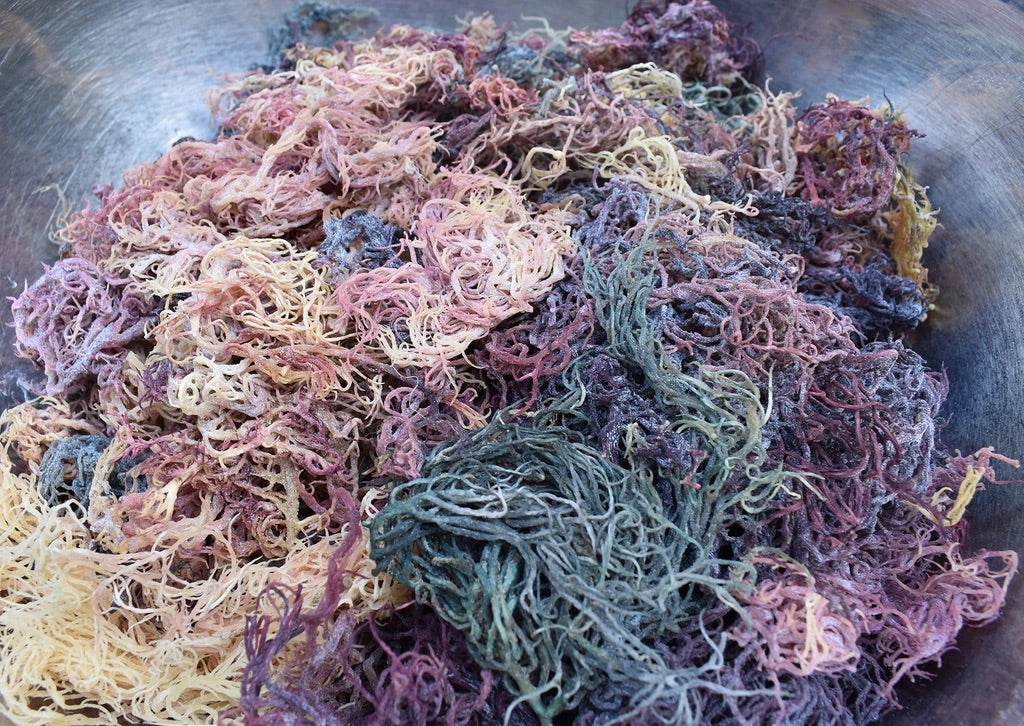Full spectrum sea moss